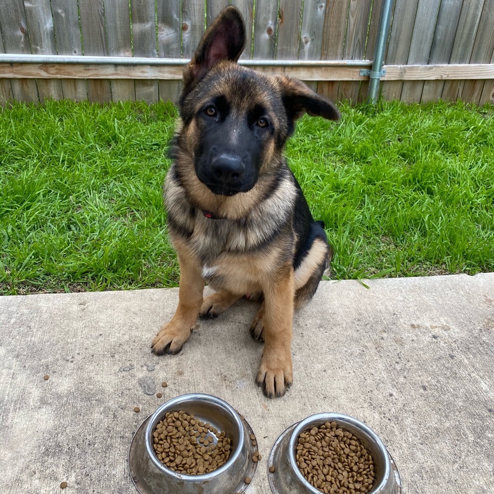 Meet your Posher, John